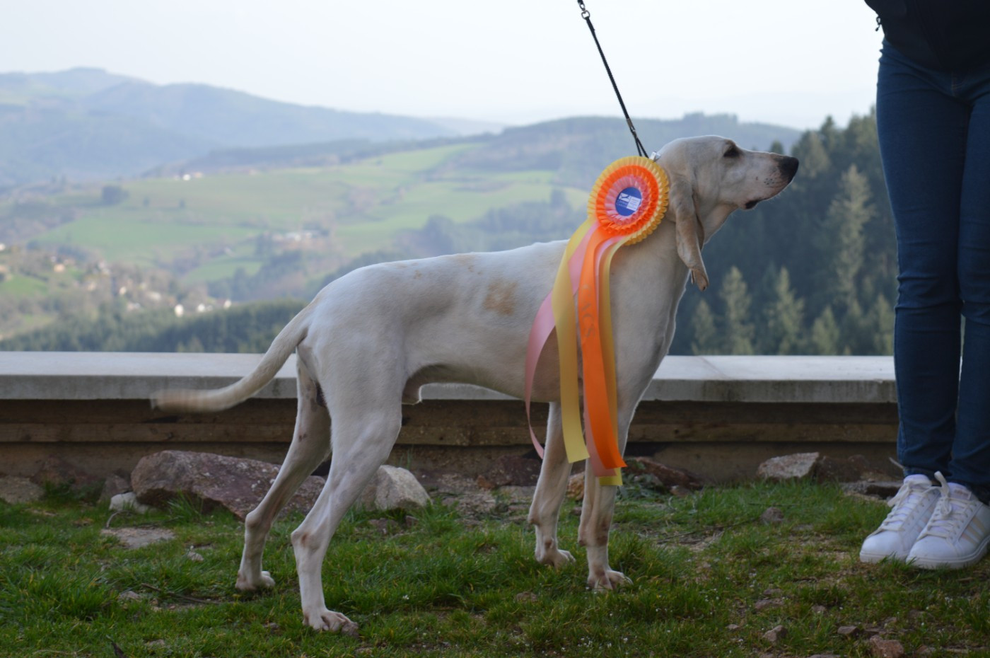 résultat d'exposition